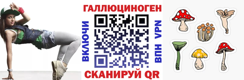 Псилоцибиновые грибы Cubensis  Купить где  Почеп 