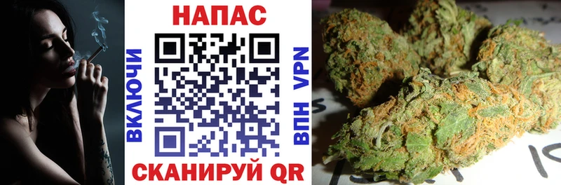 Купить где  Почеп  Марихуана планчик 